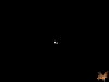 image57.png